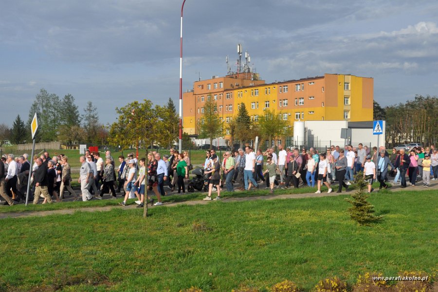 117.jpg