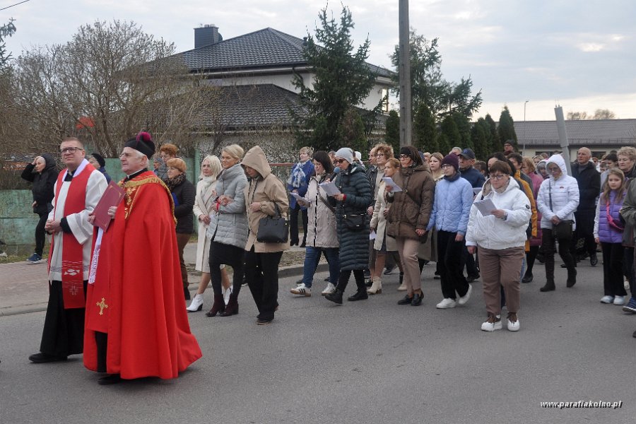 037.jpg