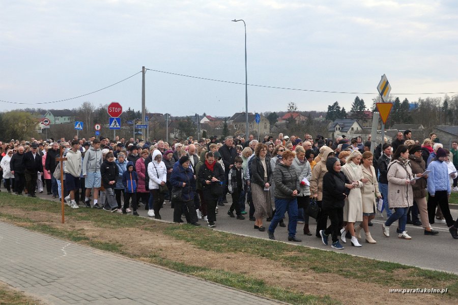 050.jpg